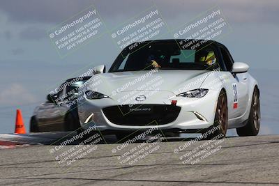 media/Mar-31-2024-Speed Ventures (Sun) [[a3b2bf813d]]/Purple/Session 2 (Grapevine)/